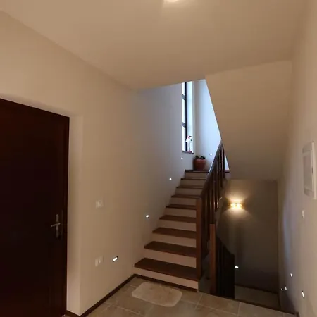 Connor * 자다르